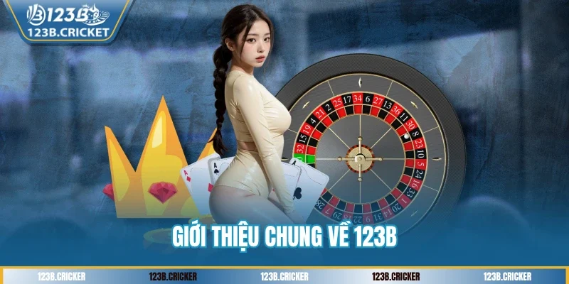 Giới thiệu chung về 123B