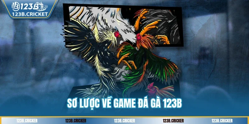 Sơ lược về game đá gà 123B