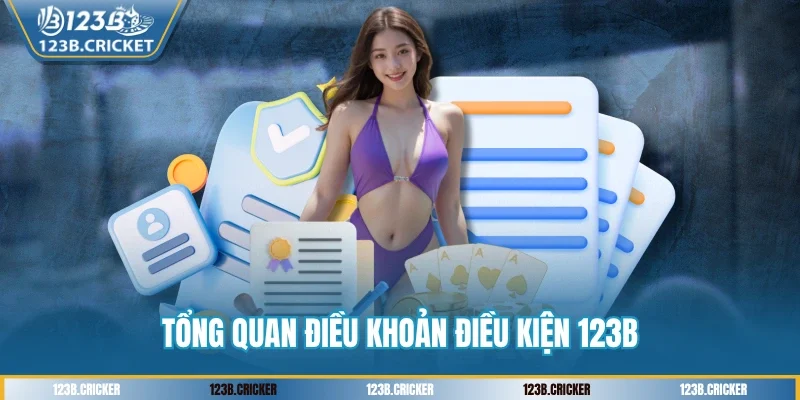 Tổng quan điều khoản điều kiện 123B