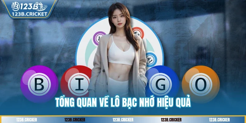 Tổng quan về lô bạc nhớ hiệu quả